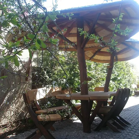 Ambra