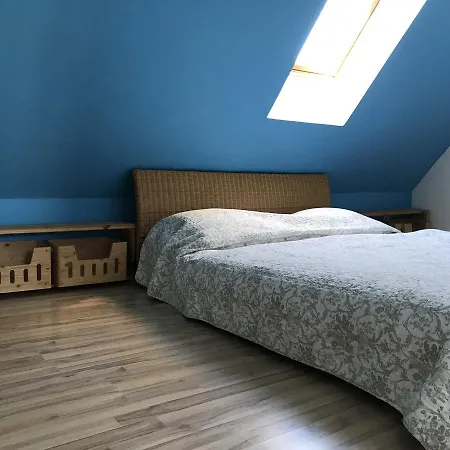 Ambra * Palanga